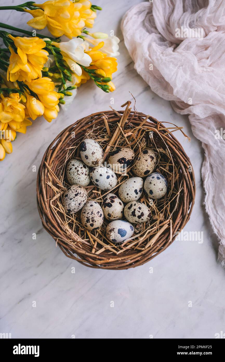 Quail eggs in a basket on white marble background Stock Photo