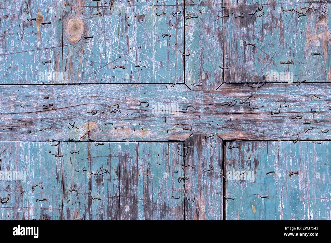 Staples Texture Chipped wooden teal blue plank with staples texture background Stock ...
