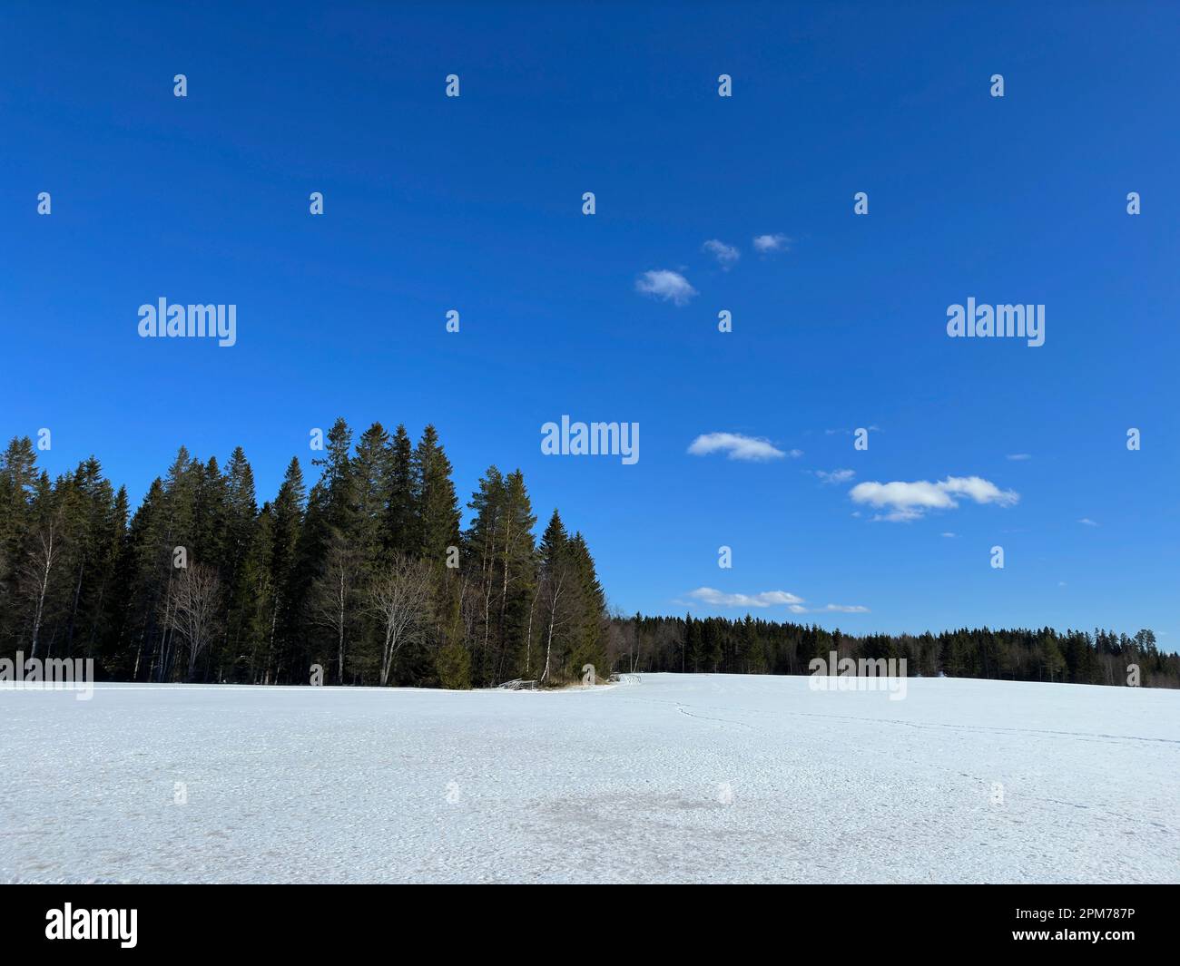 Winter landscape of north Sweden Stock Photo