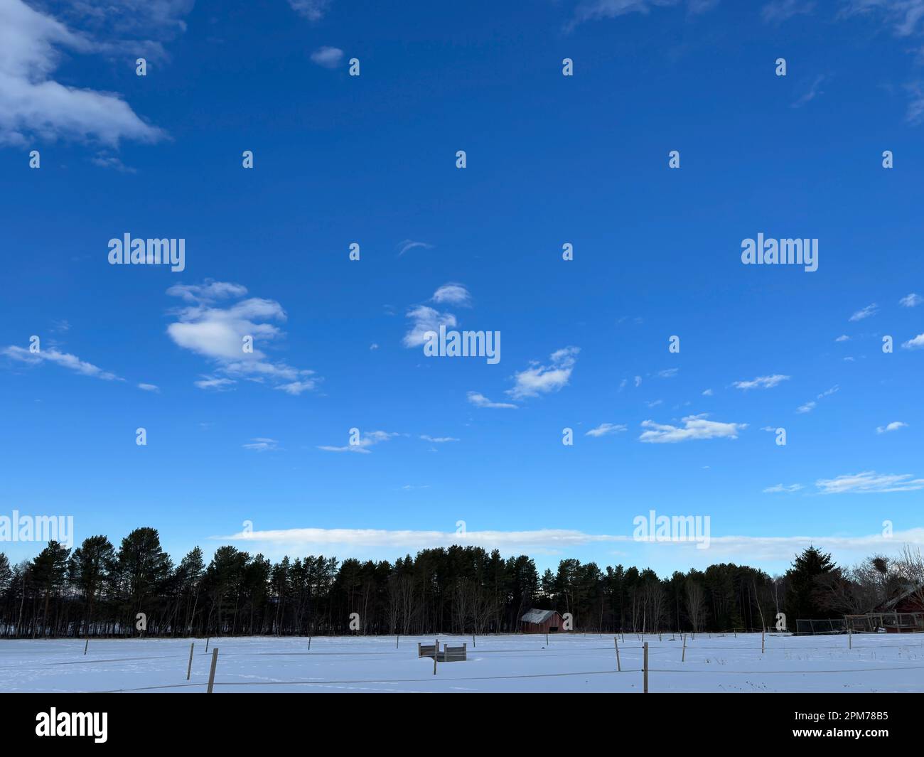 Blue sky and forest in the north of Sweden Stock Photo