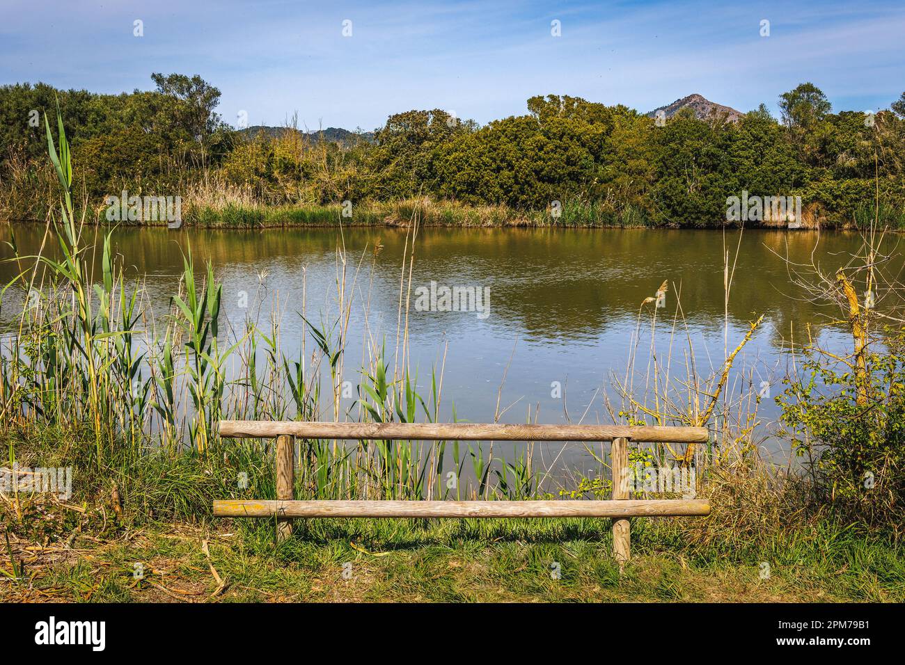 Rural scene of an old wooden fence on a water channel Stock Photo