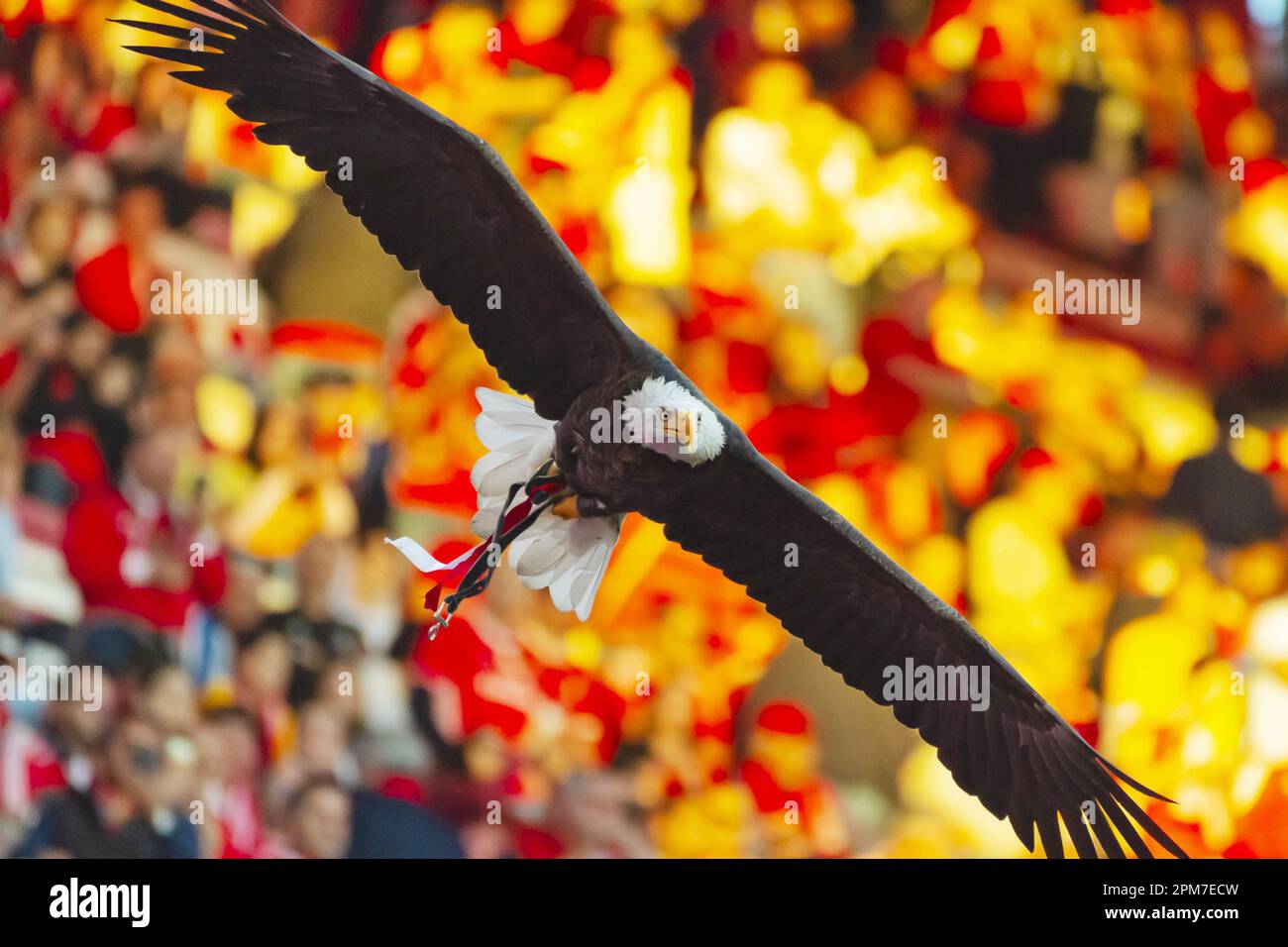 Morato of Benfica heads the ball during the UEFA Champions League,  Quarter-finals, 1st leg football match between SL Benfica and FC  Internazionale on April 11, 2023 at Estadio do Sport Lisboa e