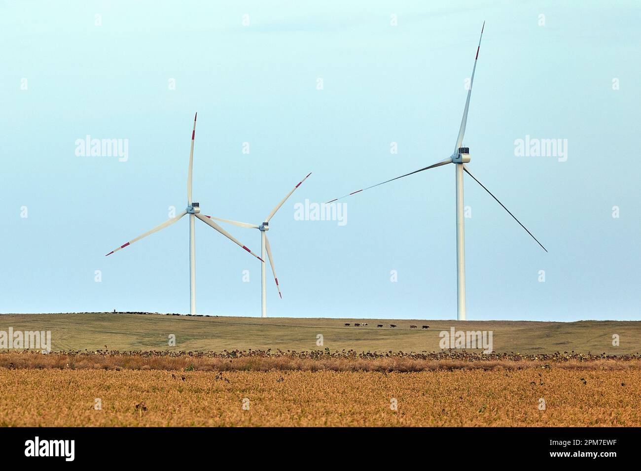 Wind energy. Wind power. Sustainable, renewable energy. Wind turbines