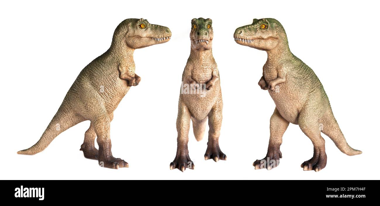 Tame T-Rex.  dinosaur model. THREE VIEWS, WHITE BACKGROUND Stock Photo