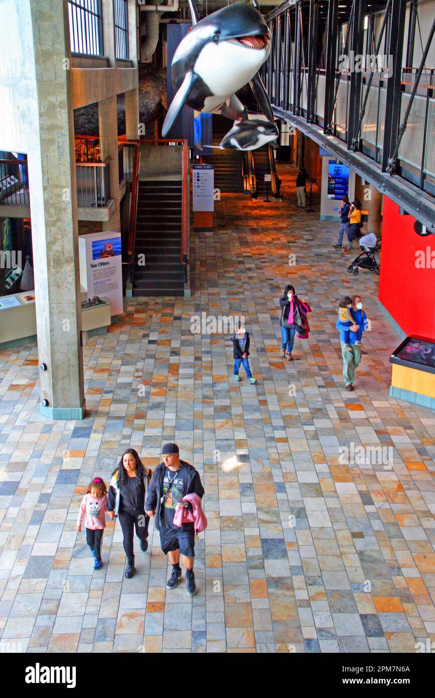 Monterey bay aquarium ticketing area, Monterey, California, USA The