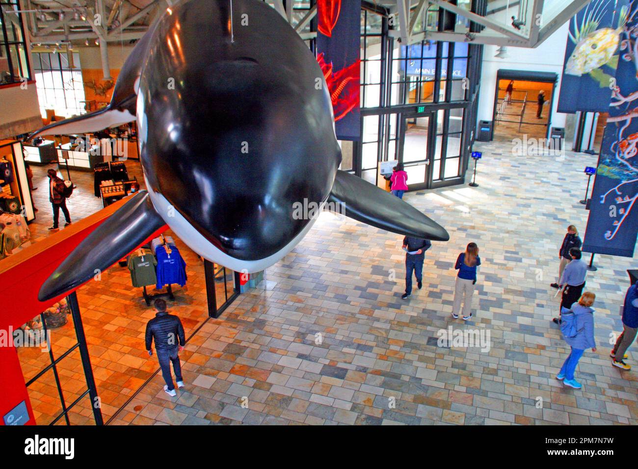 Monterey bay aquarium ticketing area, Monterey, California, USA The