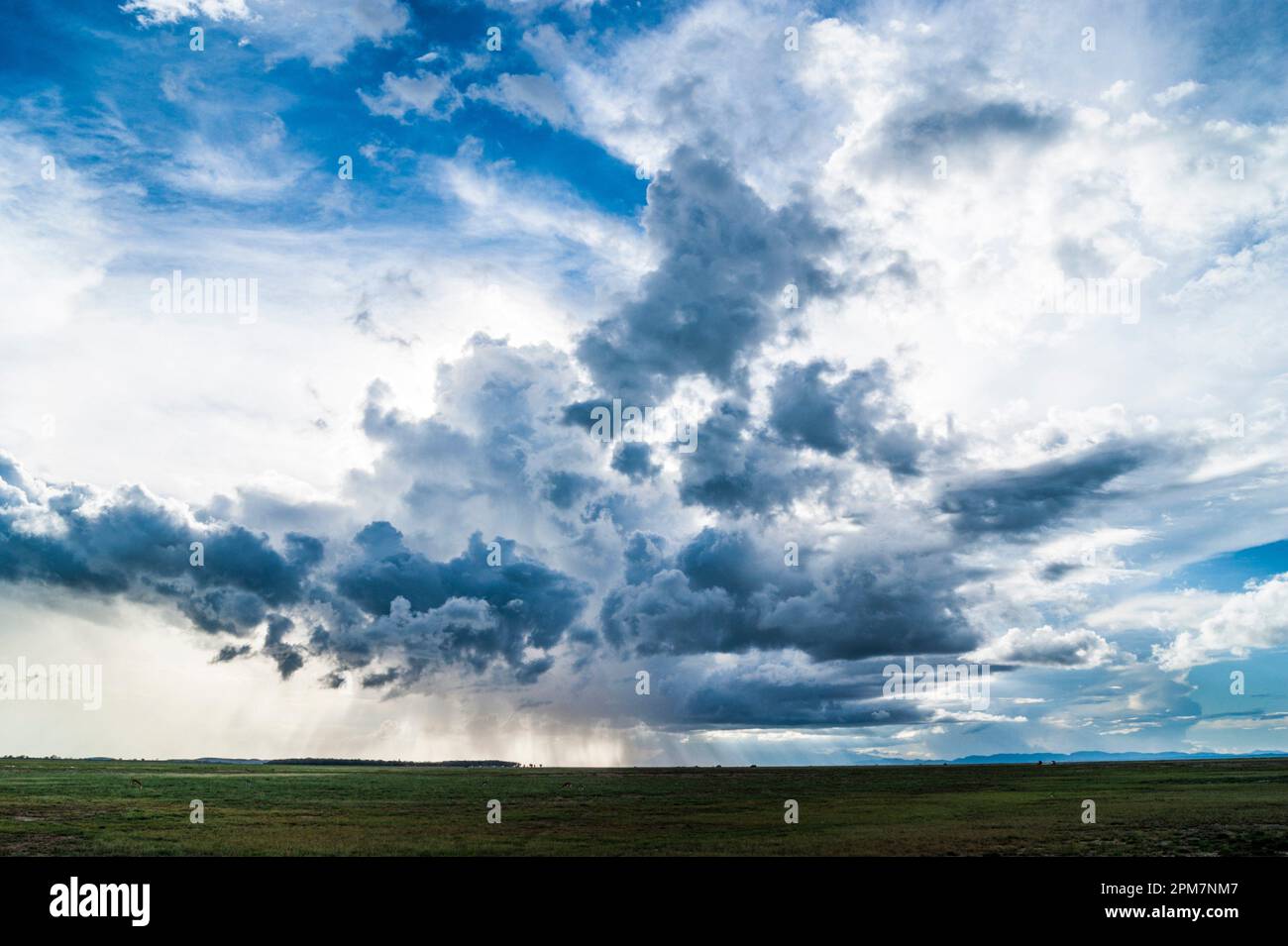 Cloud formations over Amboseli National Park, Kenya, Africa Stock Photo