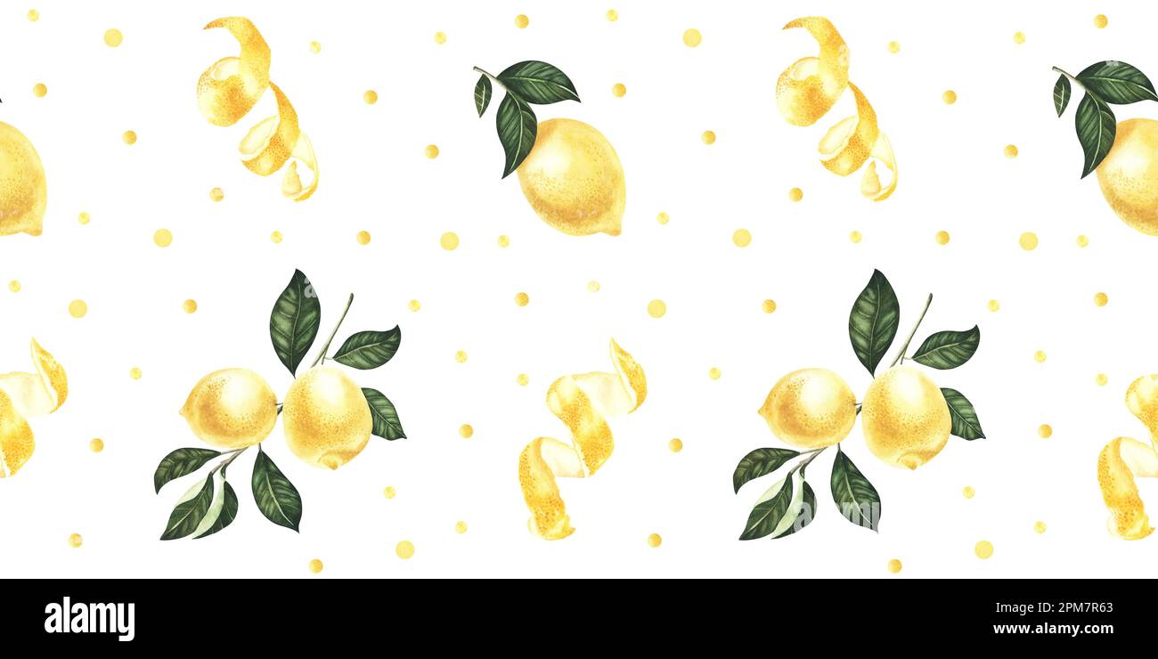Watercolor lemon fruit. Hand painted sour lemon with seeds and peel ...