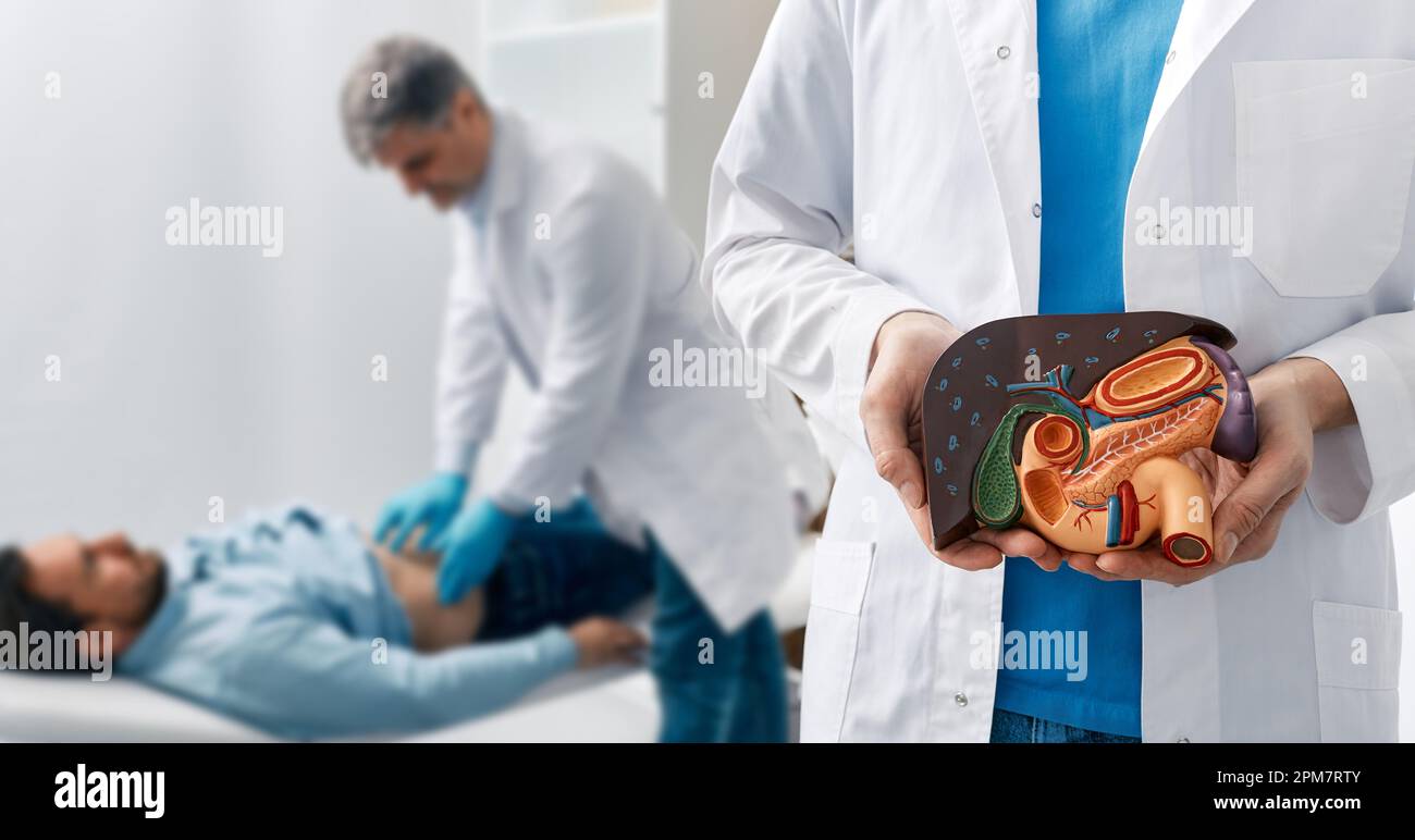 Human liver disease, diagnosis and treatment. doctor gastroenterologist showing liver anatomical model for treatment hepatitis, cirrhosis and cancer w Stock Photo