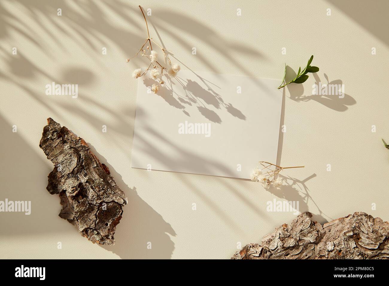 Minimalistic stationery card mock up among tree bark. Aesthetic layout under sunny shadows with gypsophila. Concept of new life, zero waste, sustainab Stock Photo