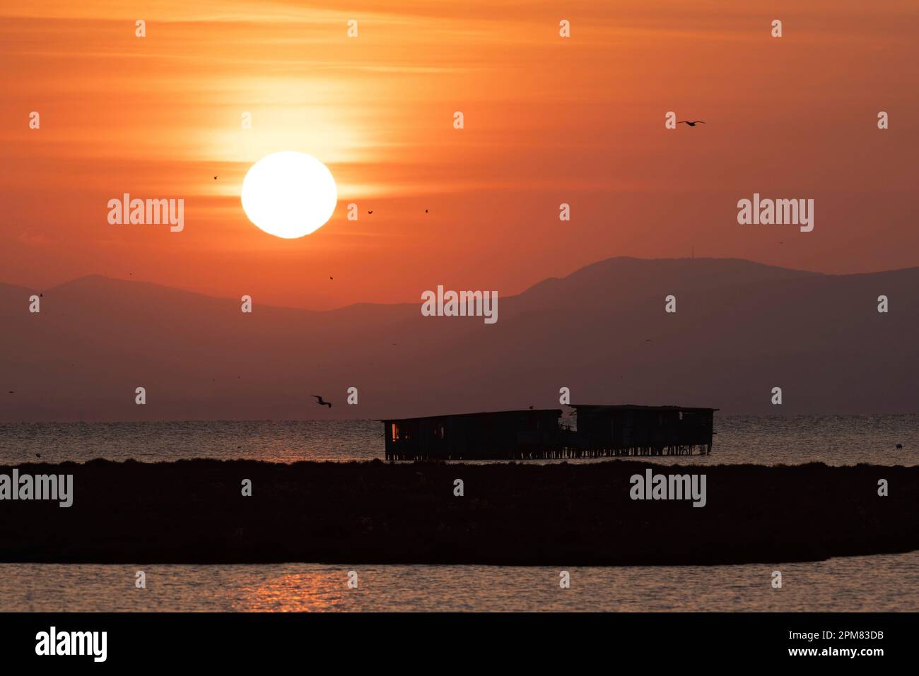 Greece, Macedonia, Thessaloniki, Axios Delta National Park, National ...