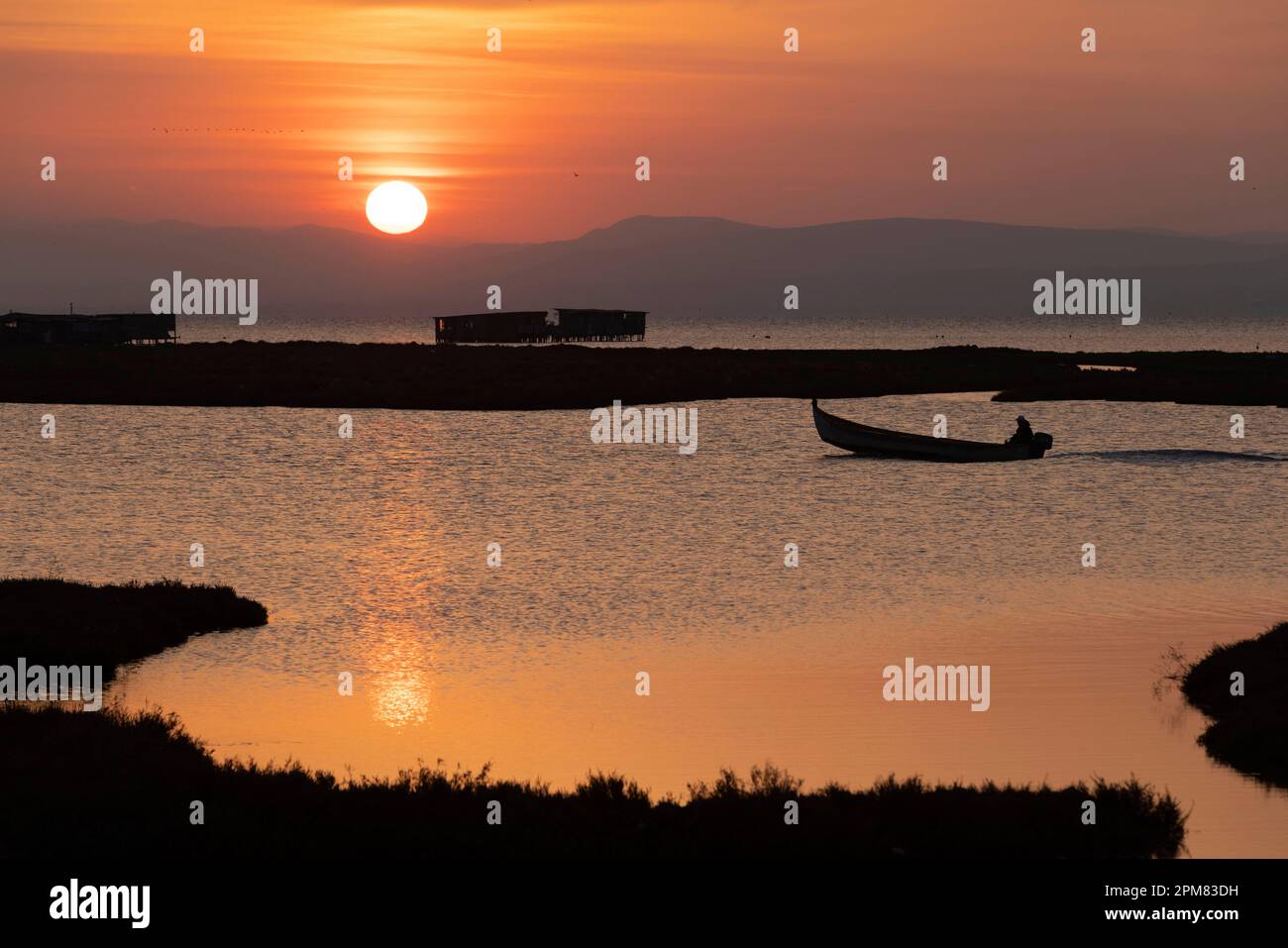 Greece, Macedonia, Thessaloniki, Axios Delta National Park, National ...
