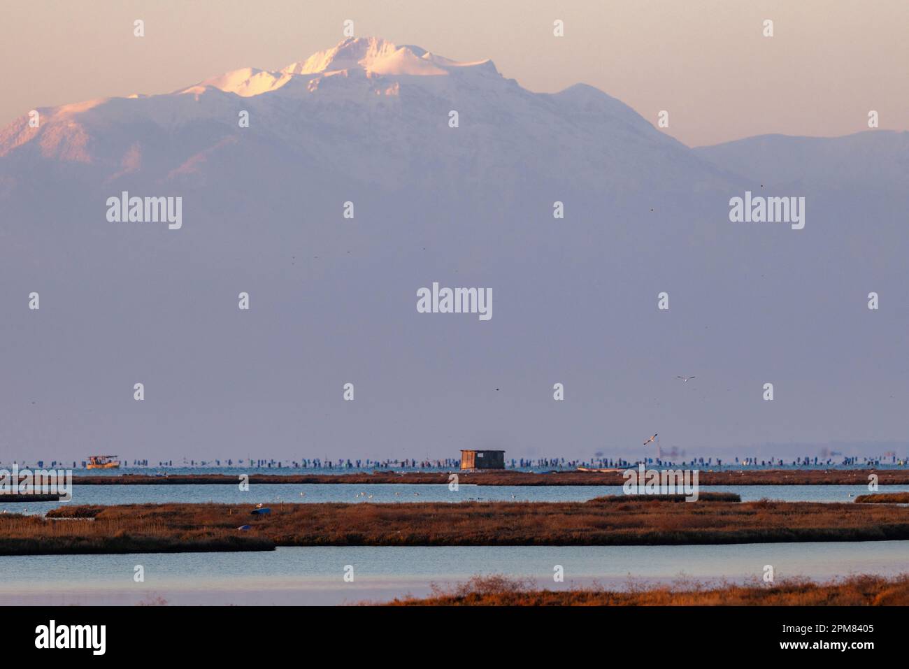 Greece, Macedonia, Thessaloniki, Axios Delta National Park, National ...