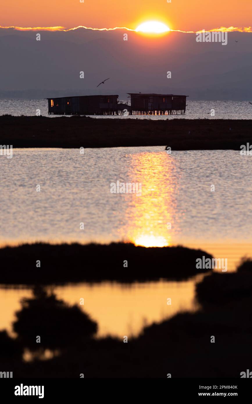 Greece, Macedonia, Thessaloniki, Axios Delta National Park, National ...