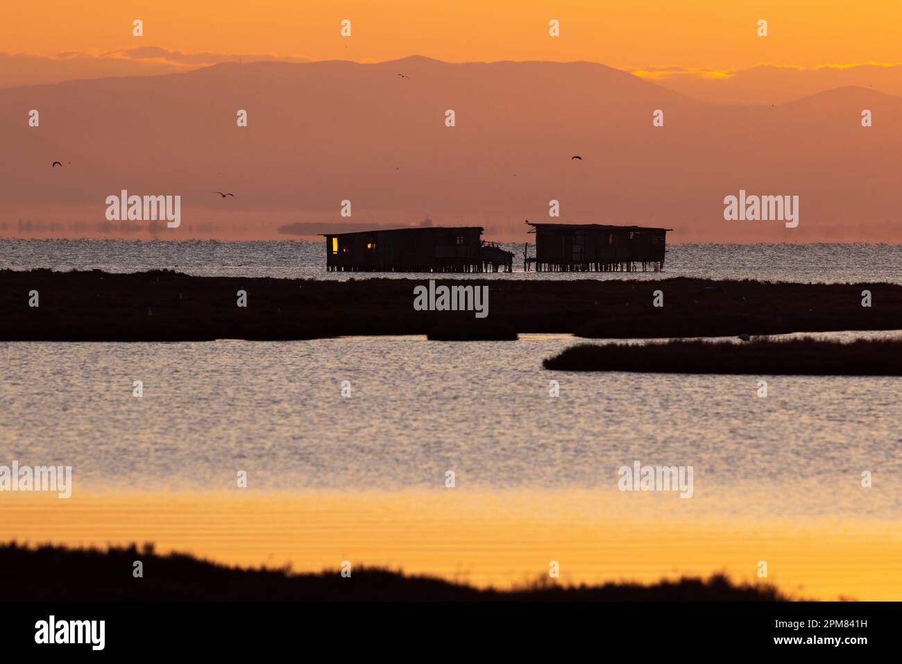 Greece, Macedonia, Thessaloniki, Axios Delta National Park, National ...