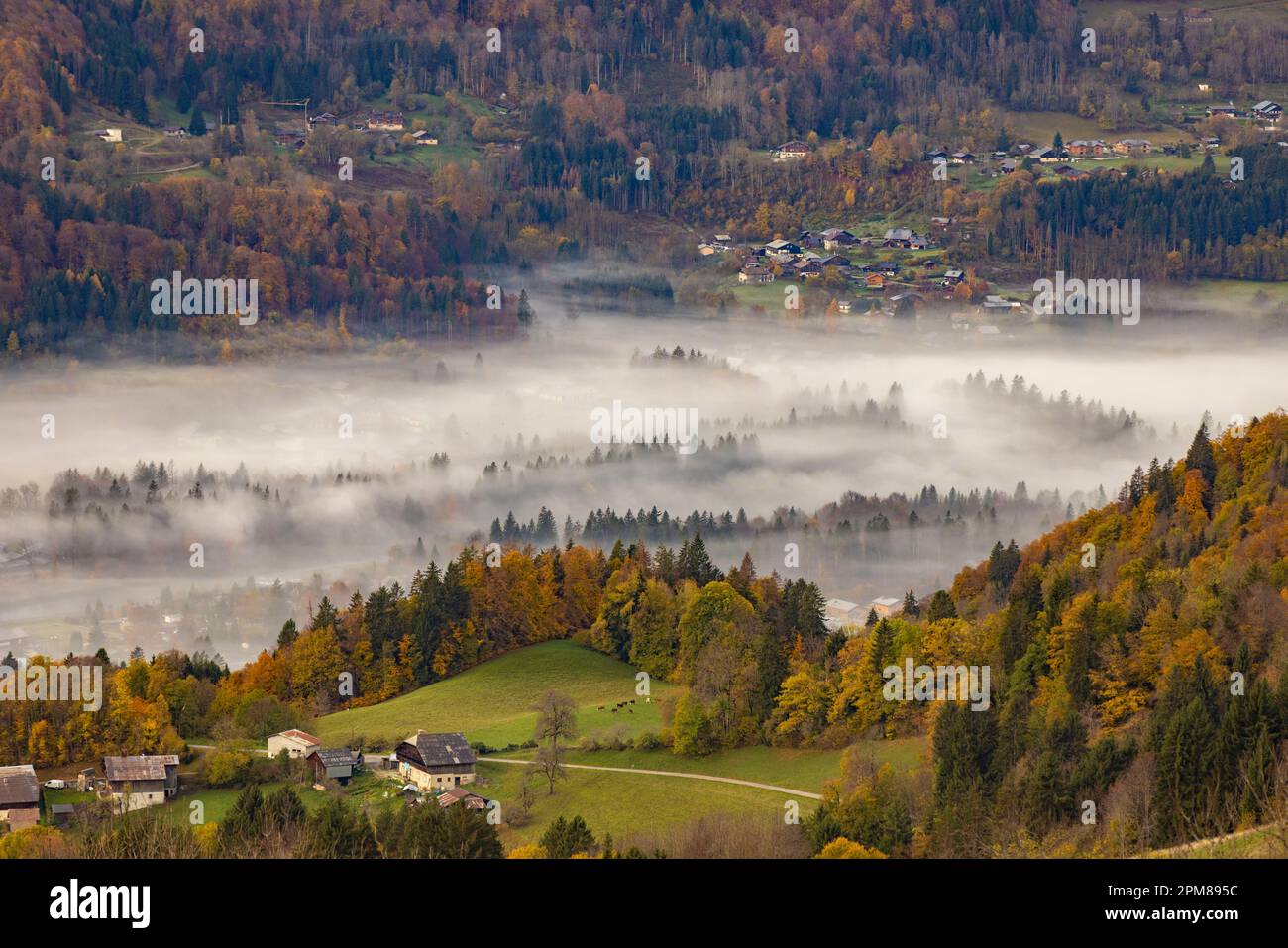 France, HauteSavoie, Giffre valley, view of the Giffre valley and