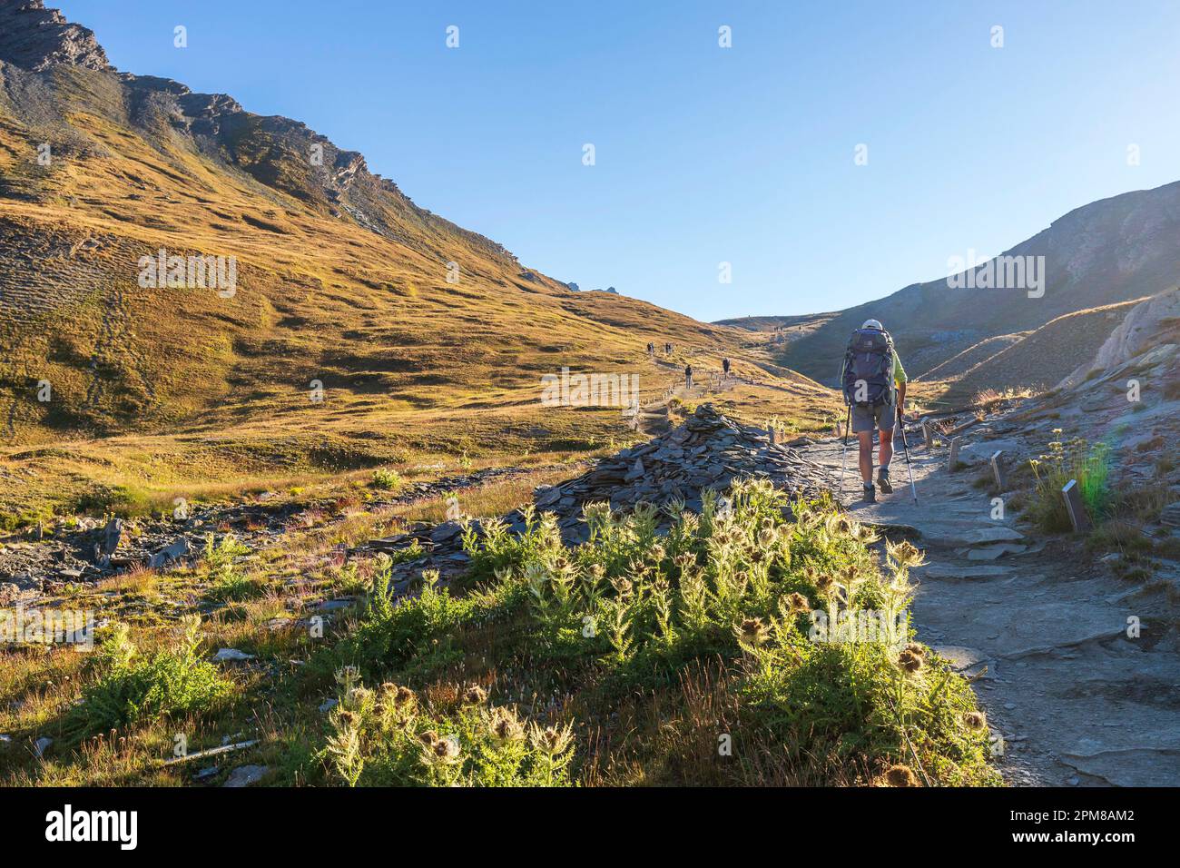 Hikers in the Queyras park practicing Spanish phrases while following a trail