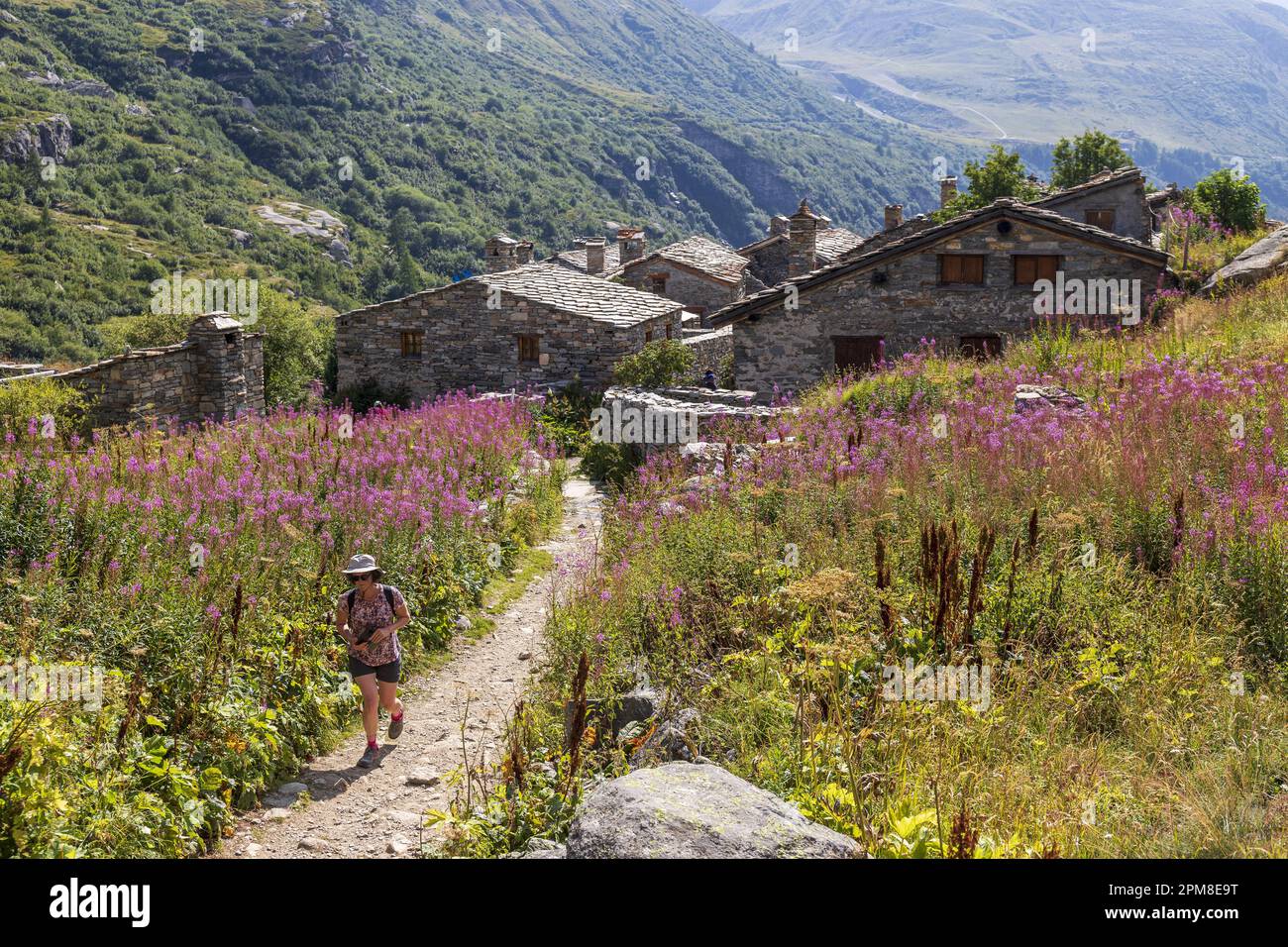 Novaz France, Savoie, Vanoise national park, Bonneval-sur-Arc, labeled One of ...