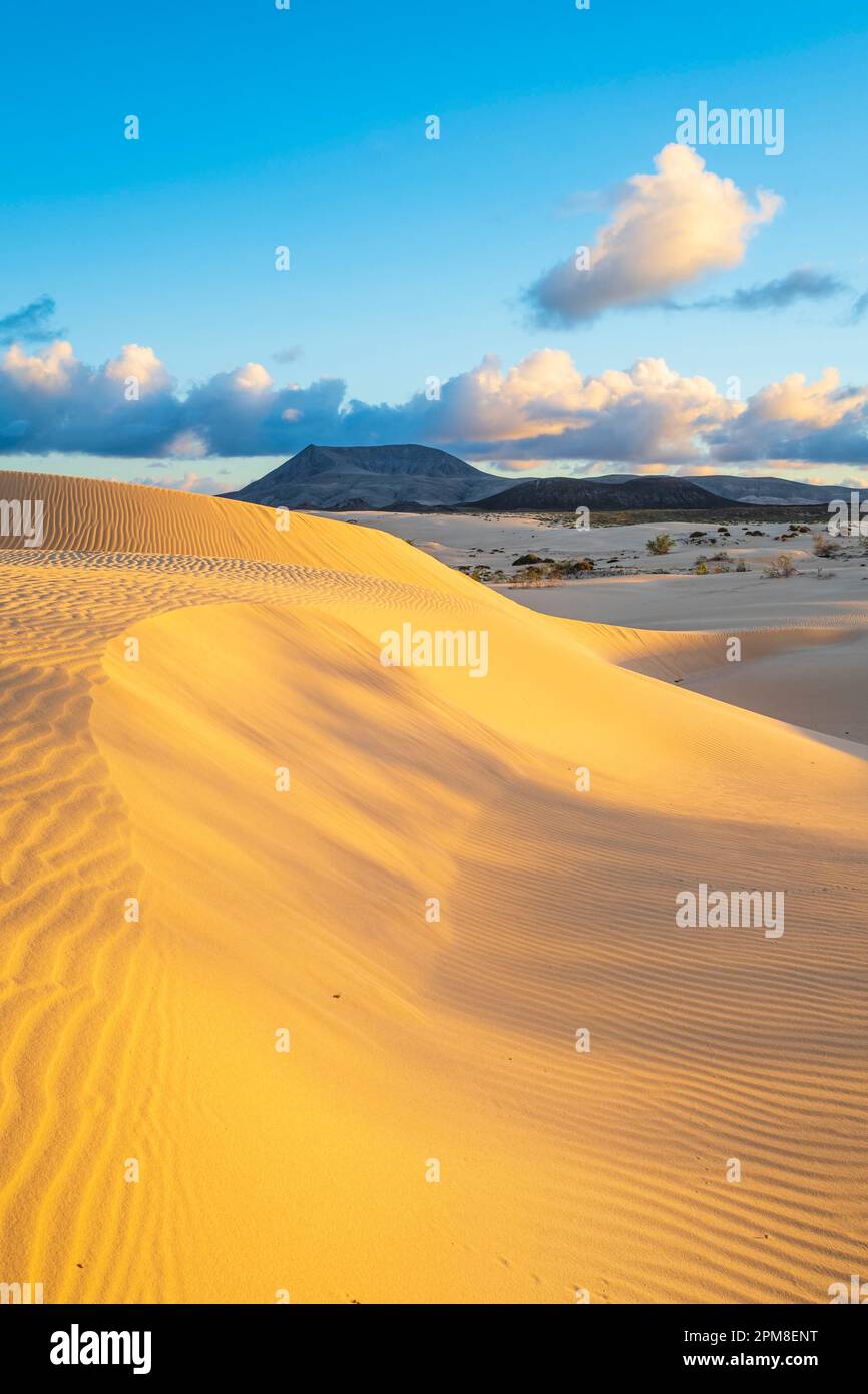 Spain, Canary Islands, Fuerteventura, Dunes of Corralejo Natural Park
