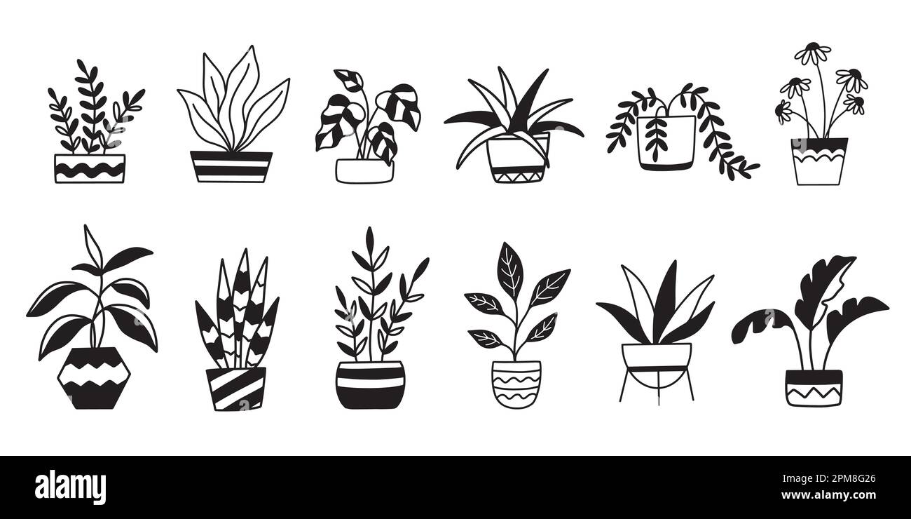 potted-houseplants-in-pots-house-plants-set-stock-vector-image-art