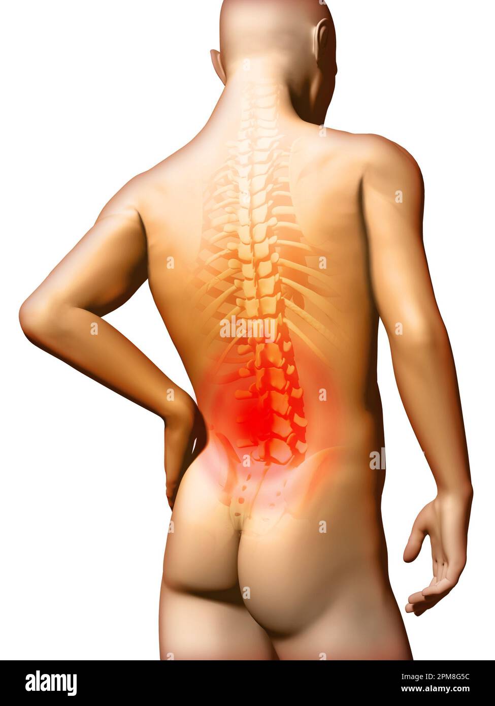 Back-pain located in the lumbar area. Digital illustration, clipping path included. Stock Photo