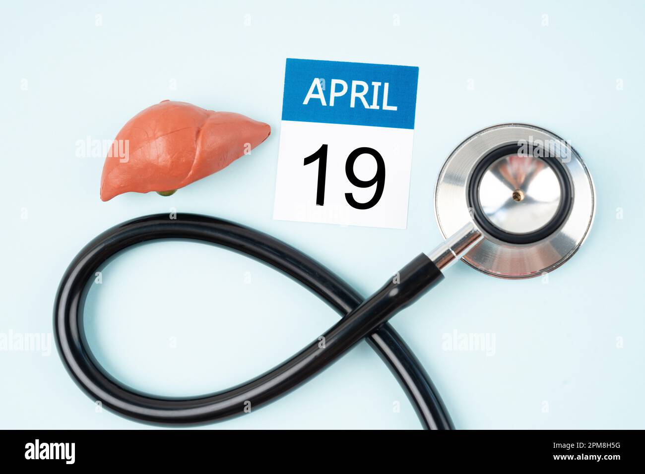 april-19th-calendar-and-liver-human-artificial-with-stethoscope-medical
