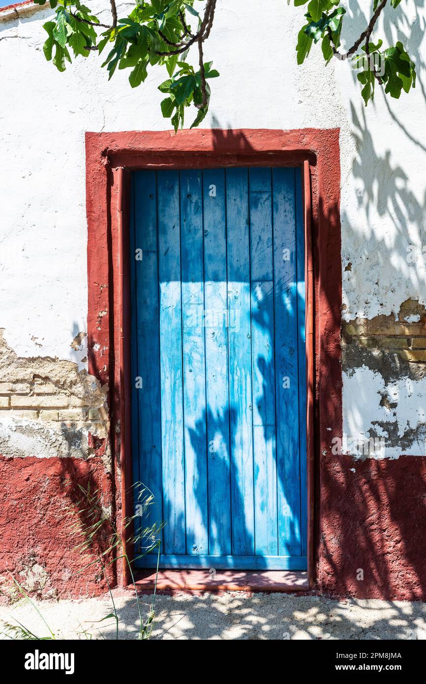 Old blue door of a rustic farmhouse or orchard house in the rice paddies of the Ebro Delta natural park, Tarragona; Catalonia; Spain Stock Photo