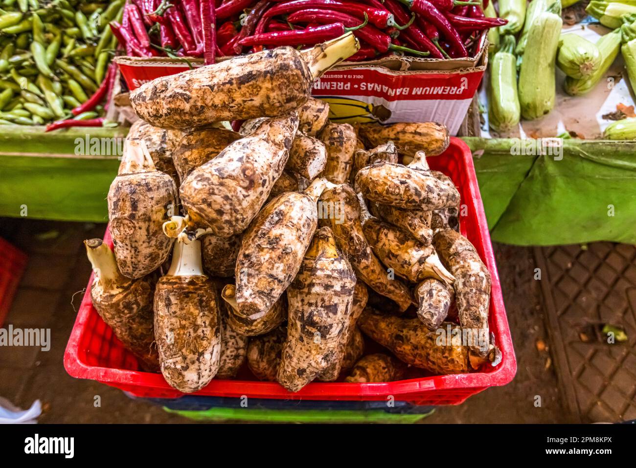 Kolokasi is a Cypriot specialty. The vegetable resembles a mixture of potato and Jerusalem artichoke. It is cut into cubes and served cooked. Nicosia Municipality, Cyprus. In the large market hall, Bandabulya, fresh fruits and vegetables are sold daily Stock Photo