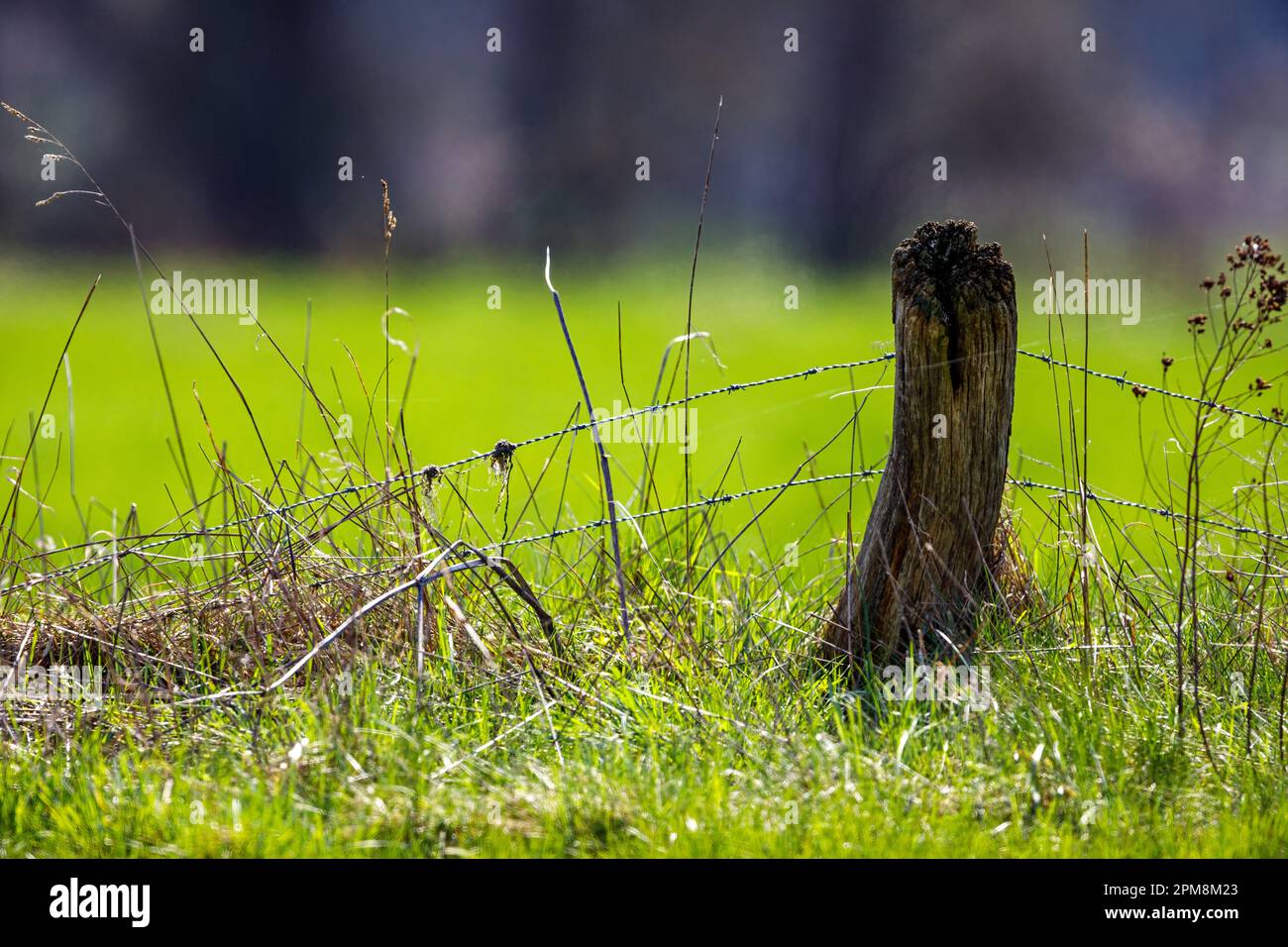 Wooden fence grass field hi-res stock photography and images - Alamy