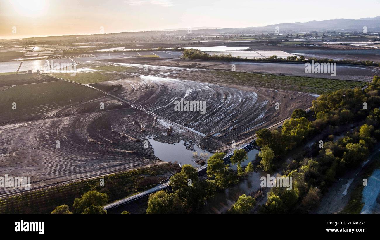 Pajaro, Calif. - March 26: The repaired Pajaro River levee on March 26, 2023. The flood ruined $330,0000 worth of strawberry and Raspberry crops. (Photo by Paul Kuroda for The Washington Post)s. Paul Kuroda/Alamy Stock Photo Stock Photo