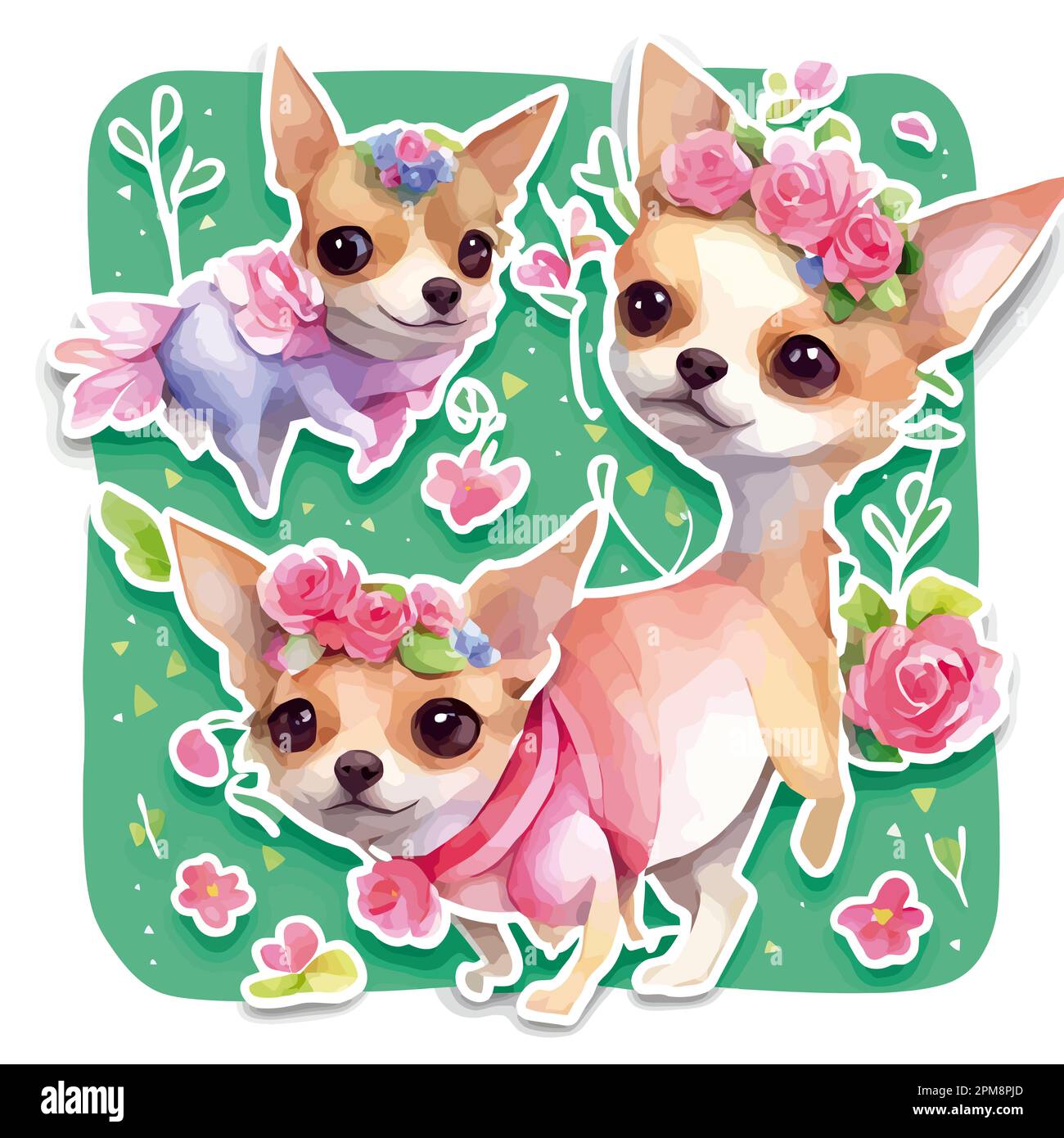 Cute Chiwawa Dog