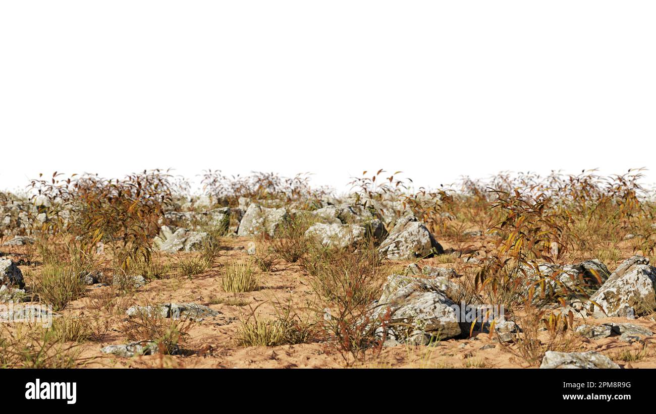 desert landscape cut-out, dry plants with rocks isolated on white background Stock Photo