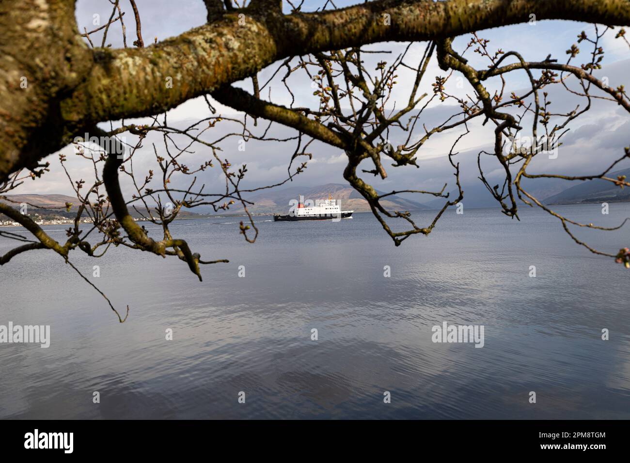 Ferry leaving Rothesay , staycation, tree, sea Stock Photo