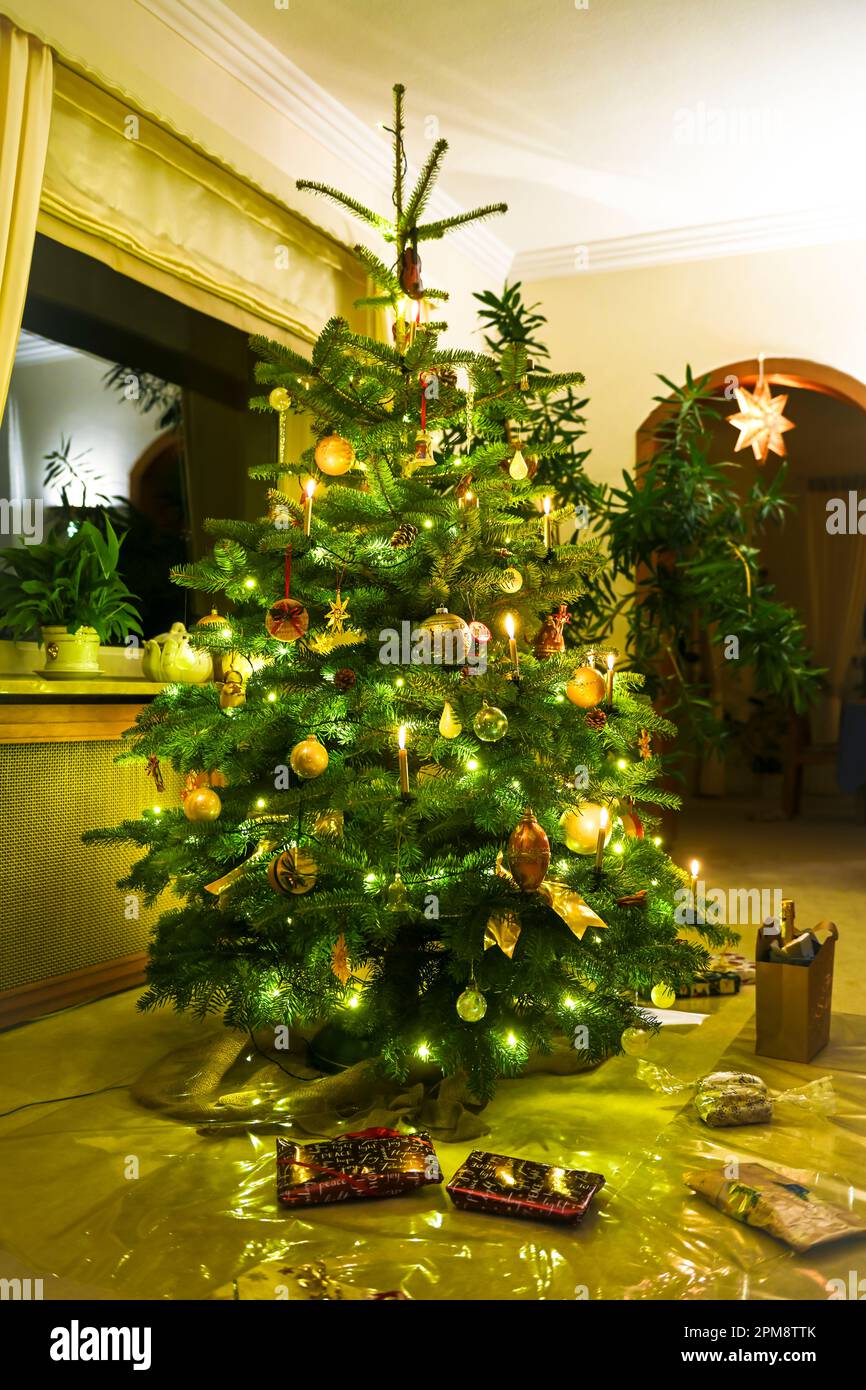 Weihnachtsbaum Mit Fiberglasbeleuchtung 2025 Fayre Ruthie