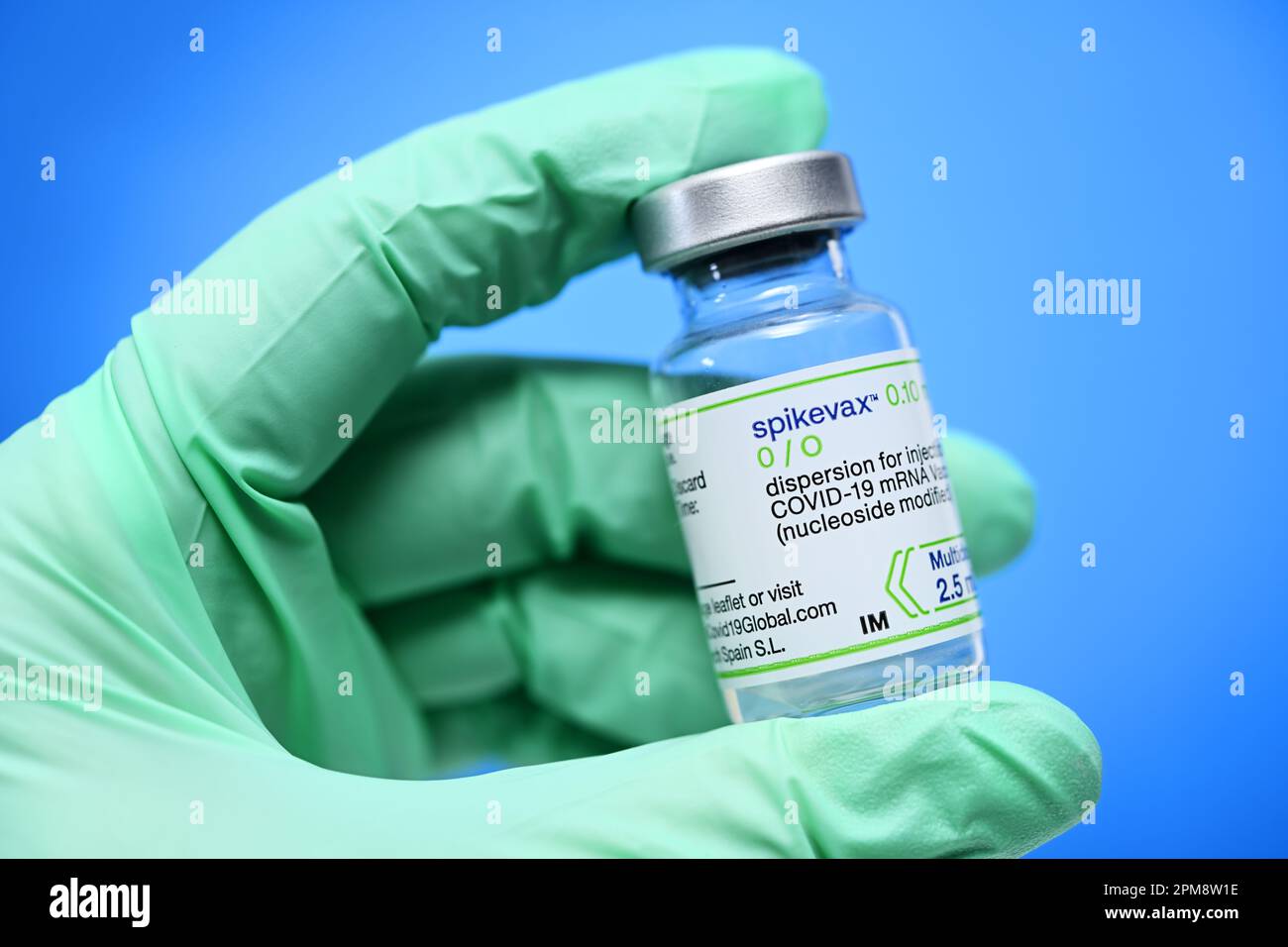 Hand im Latexhandschuh hält Impfstofffläschchen von Moderna Stock Photo