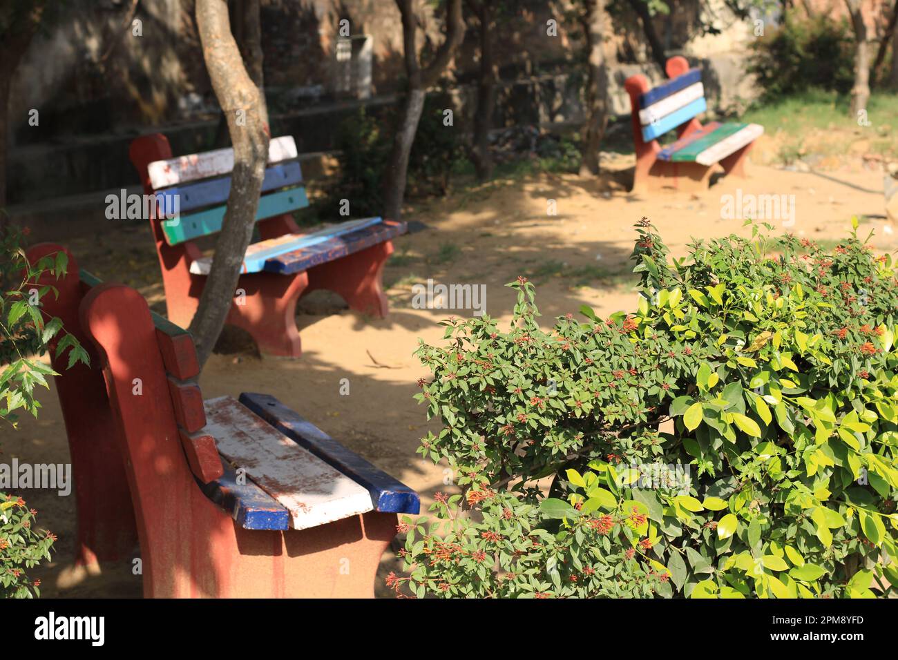 Chennai, Tamil Nadu, India 11 Apr 2023 Green grass and trees in public