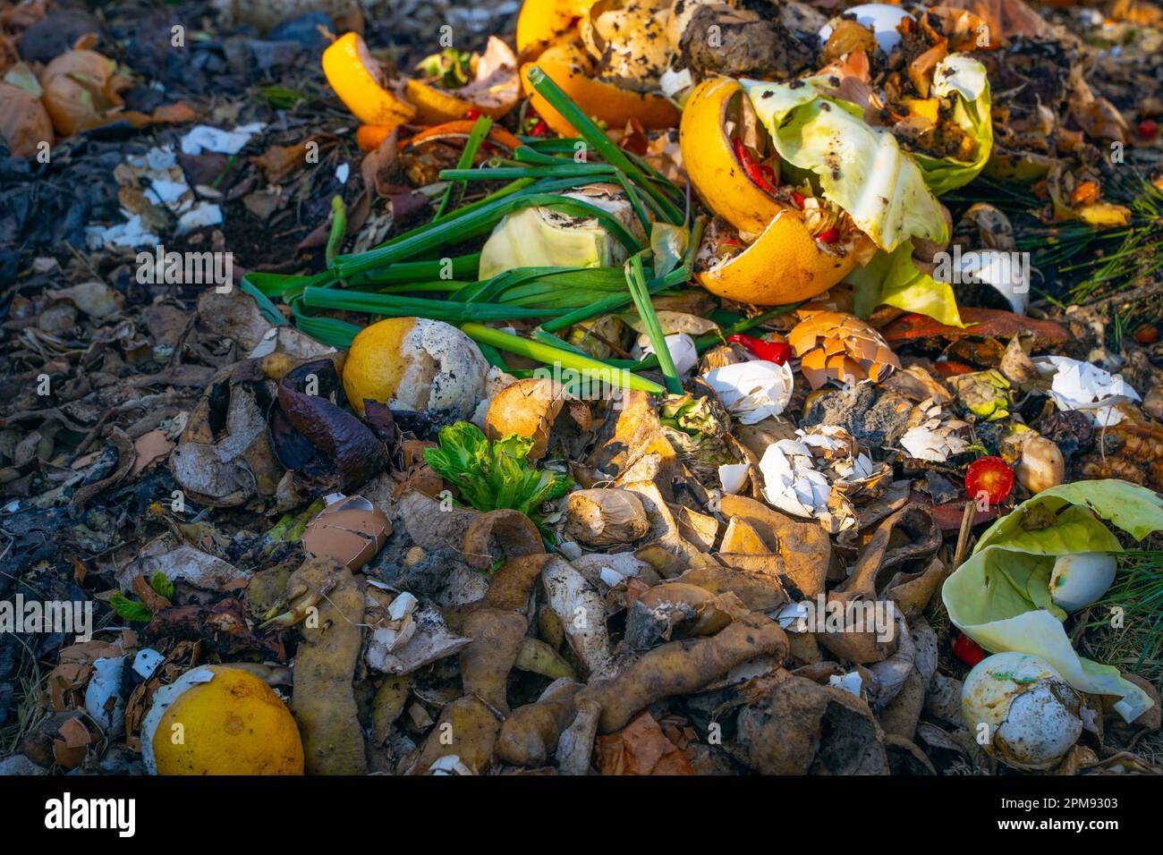 Food waste on a compost heap closeup. Composting of human waste
