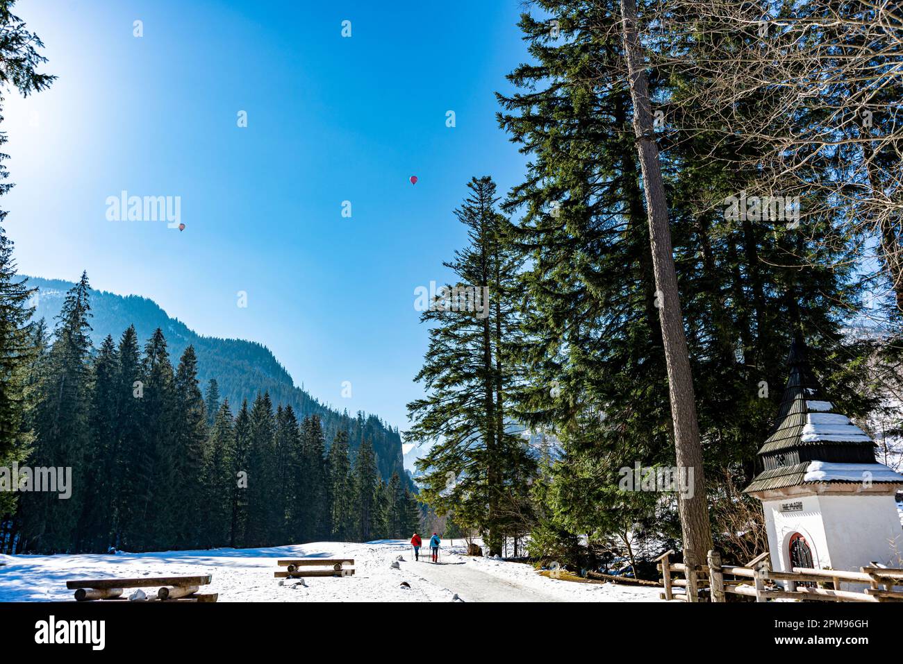 Koscieliska Dolina. Tatry. fot.Wojciech Fondalinski Stock Photo Alamy