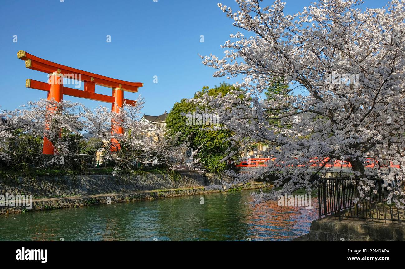 Kyoto, Japan March 28, 2023 Views of the Okazaki canal with cherry blossoms and the Heian