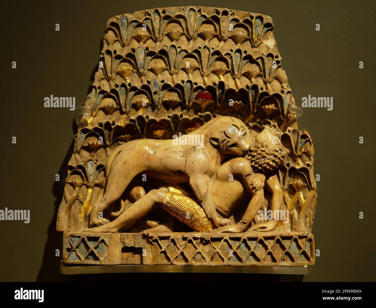 OLYMPUS DIGITAL CAMERA Stock Photo