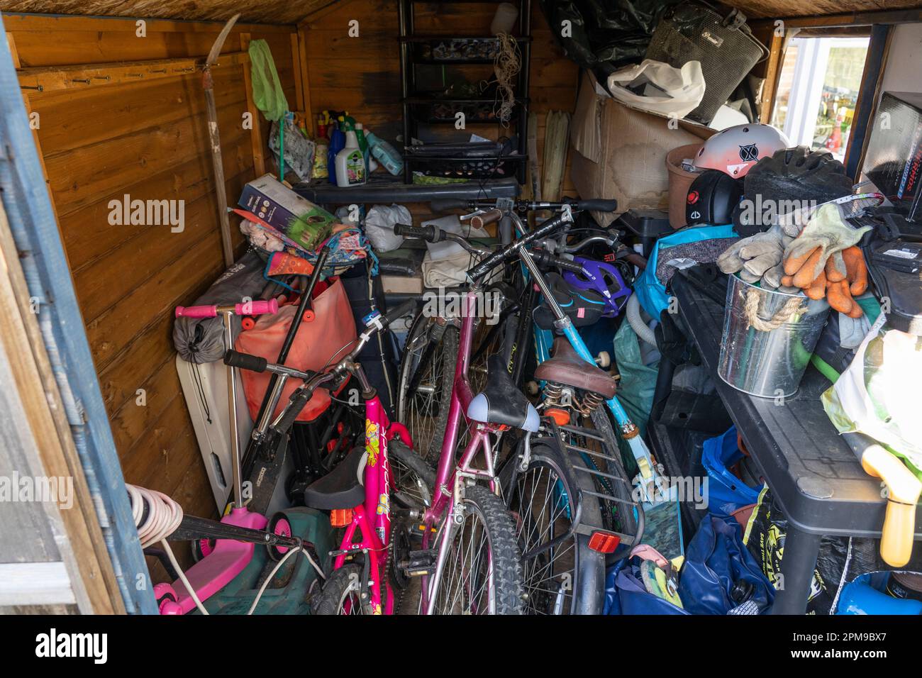 Time to get a new shed! Bikes, garden tools and general junk filling a shed in a UK house with no garage for storage. Theme: not enough storage Stock Photo