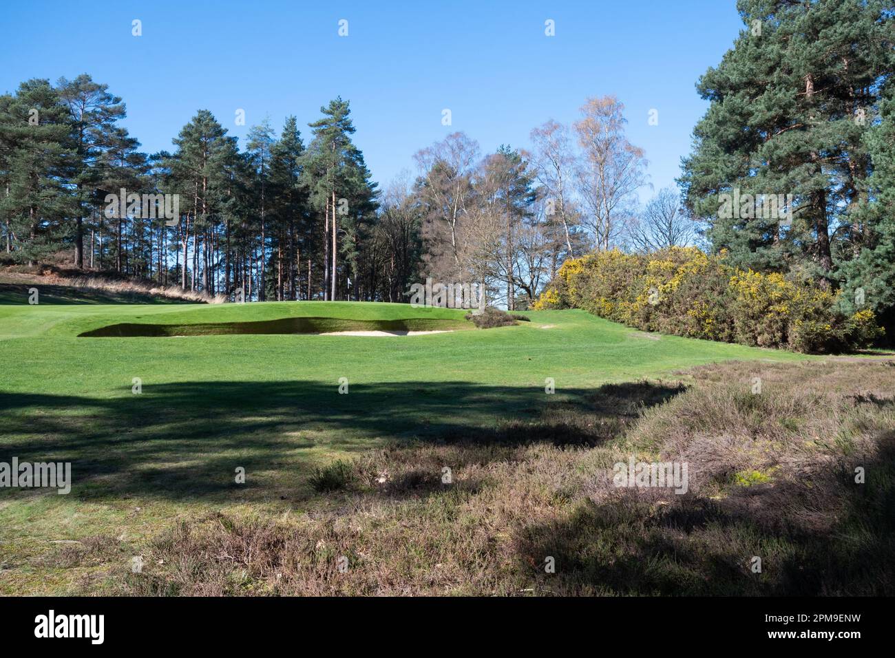 Sunningdale Golf Club in Berkshire, England, UK, spring view of the
