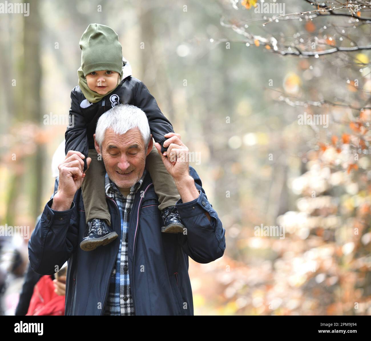 Grandfather Carries A Little Girl On His Shoulders During An Autumn Grandfather Carries A Little Girl On His Shoulders During An Autumn