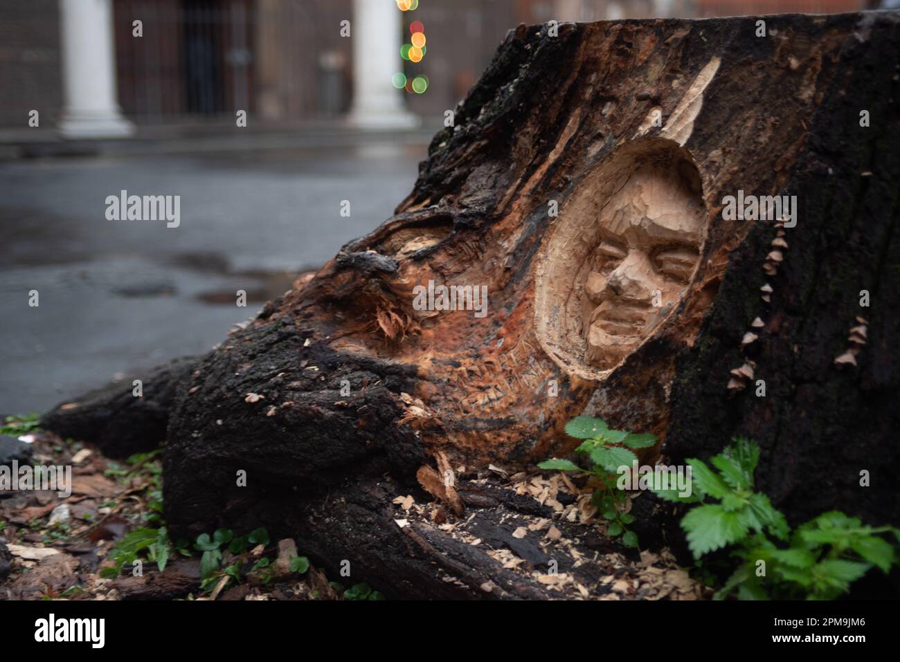 Tree sculture hi-res stock photography and images - Alamy