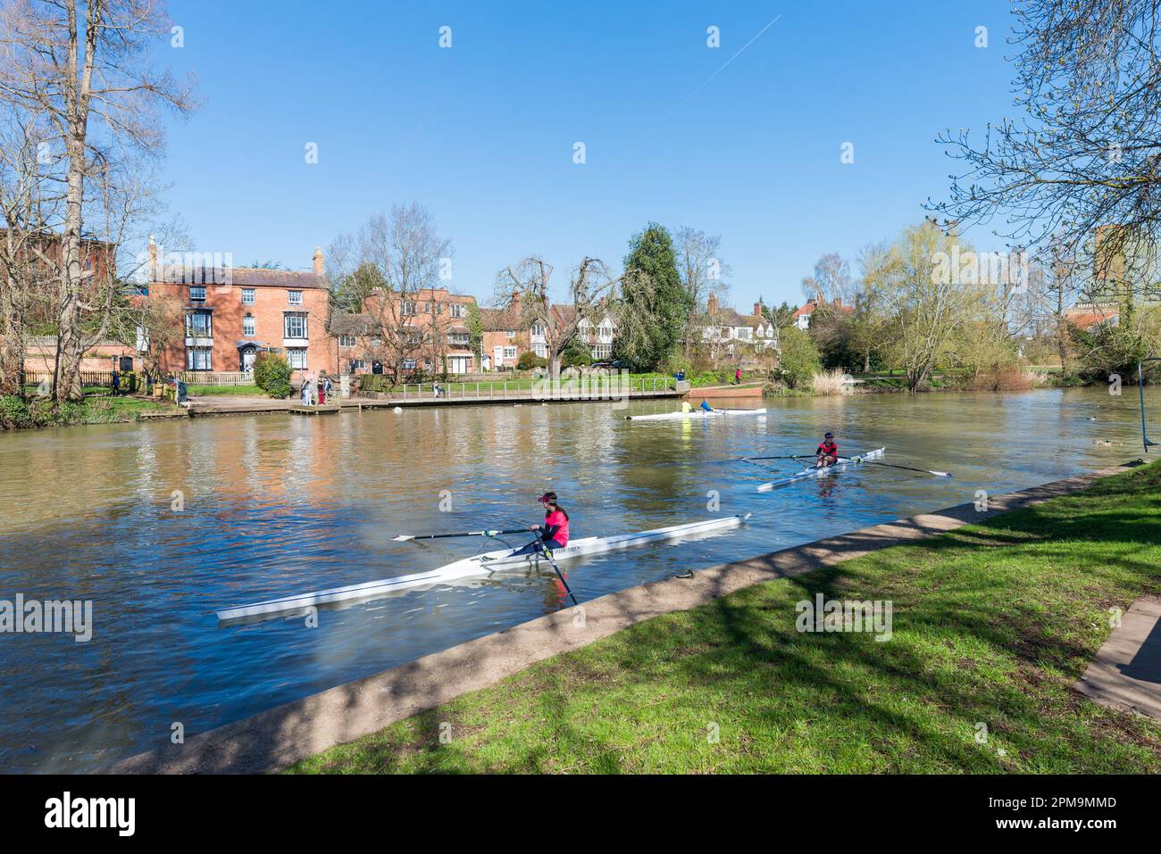 Rowers on the River Avon in StratforduponAvon, Warwickshire, England