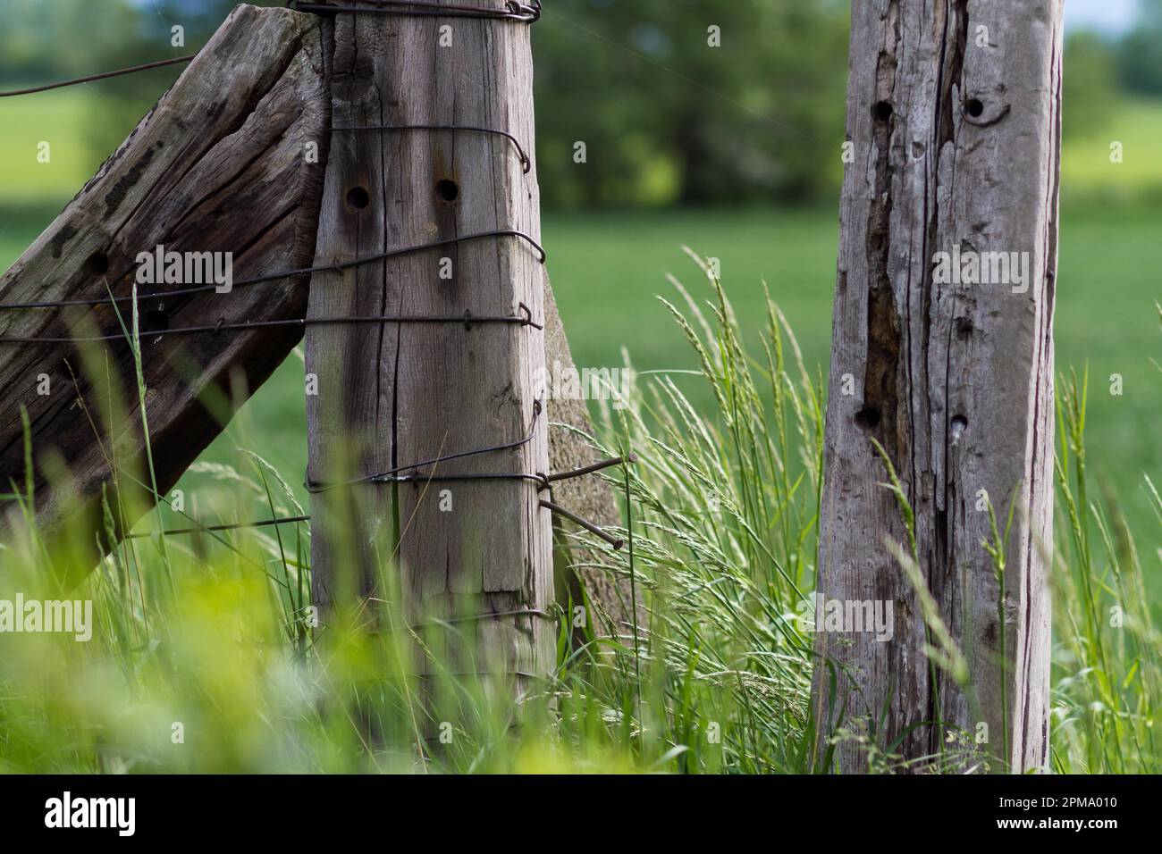Pasture metal fence hi-res stock photography and images - Alamy