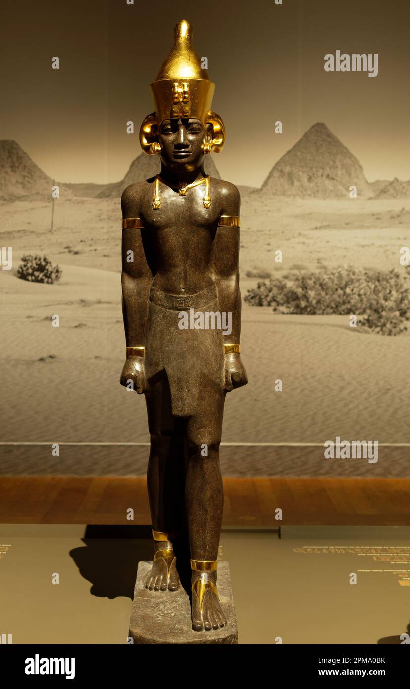 Feuille africaine hi-res stock photography and images - Alamy