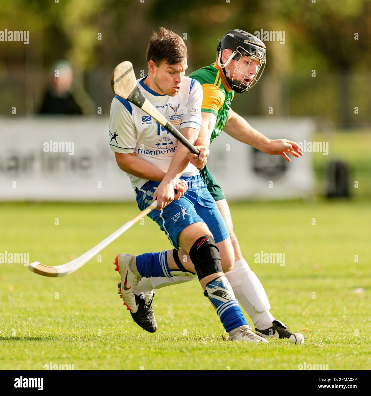 Marine Harvest Scotland v Ireland shinty hurling international, played