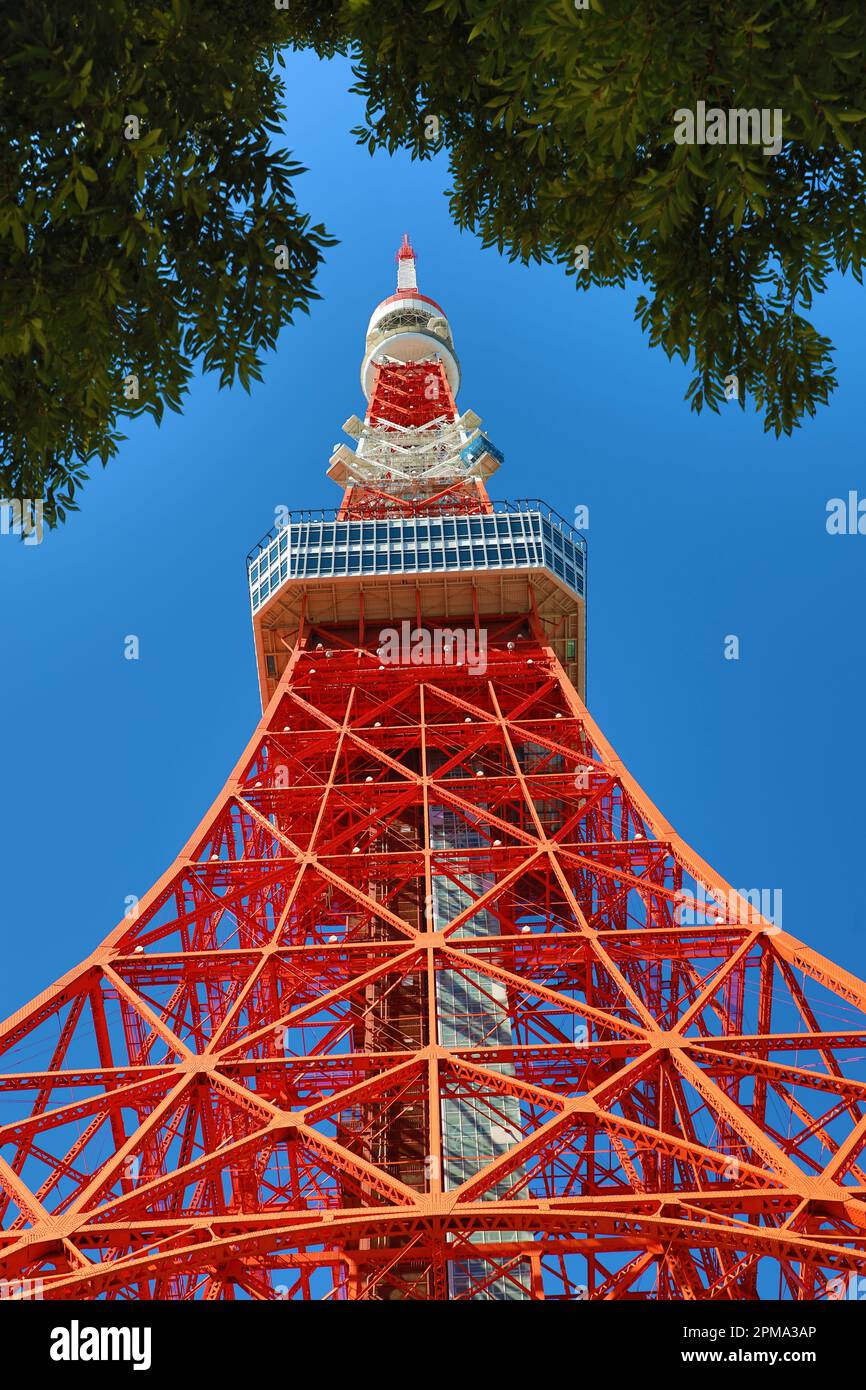 Tokyo Tower in the Minato District, Tokyo, Japan Stock Photo - Alamy