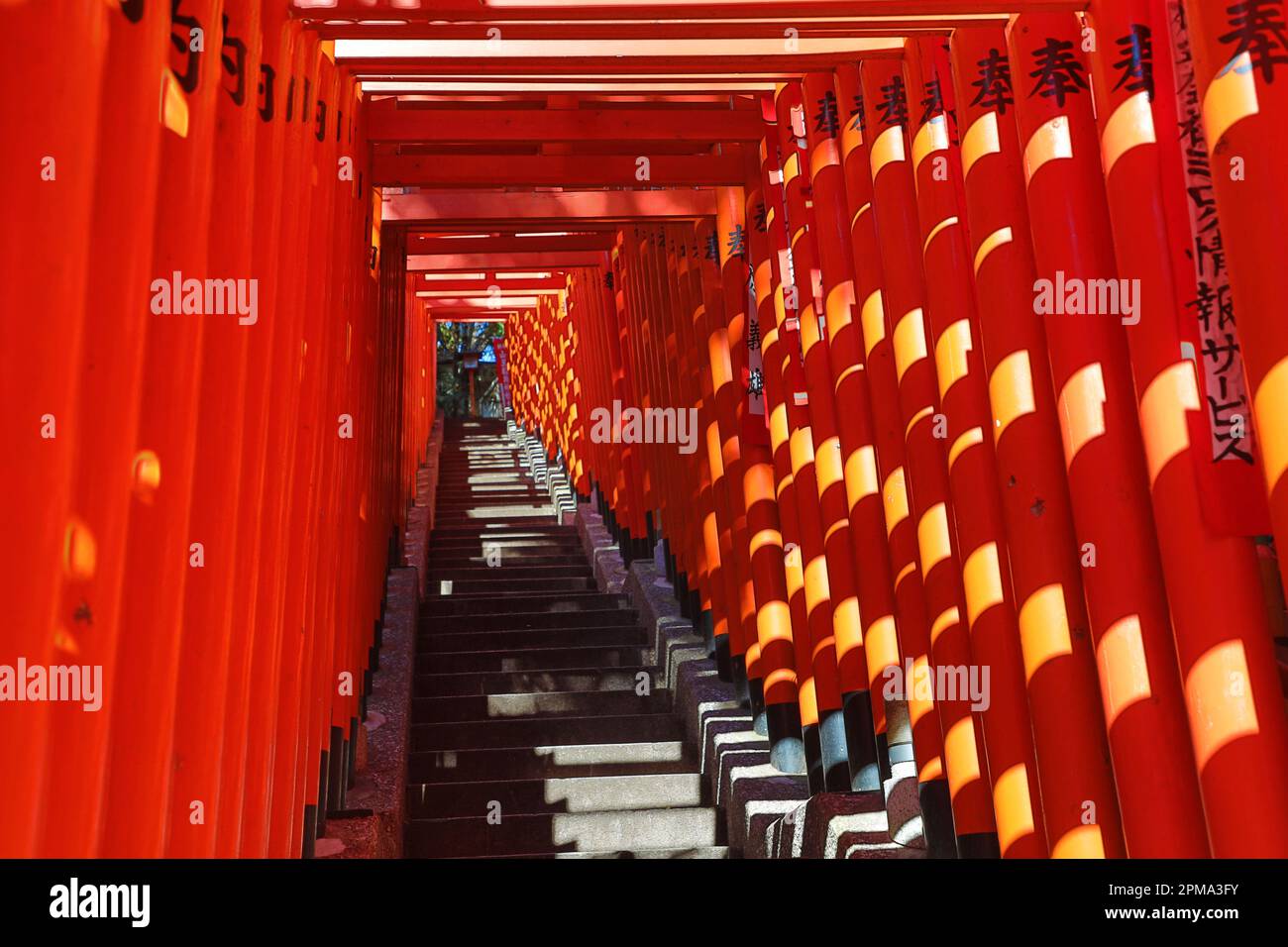 Red Torii Gate tunnel at the Hie-Jinja Shinto Shrine, Tokyo, Japan Stock Photo